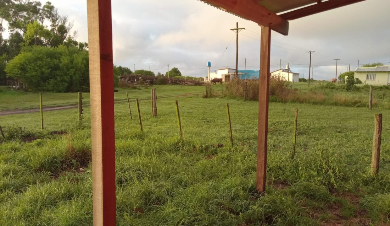 Imagen de WhatsApp 2024-10-25 a las 08.53.15_b7e136ad