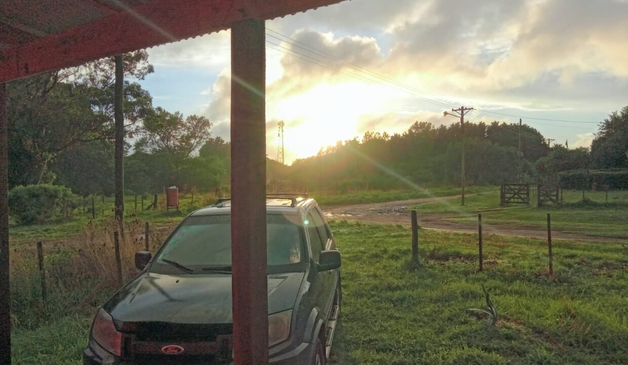 Imagen de WhatsApp 2024-10-25 a las 08.53.16_03bbd13d